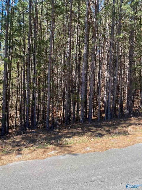 Vacant Land For Sale - LOT 4 BLK 2 Alyson Avenue<br/> Fort Payne, AL 35968