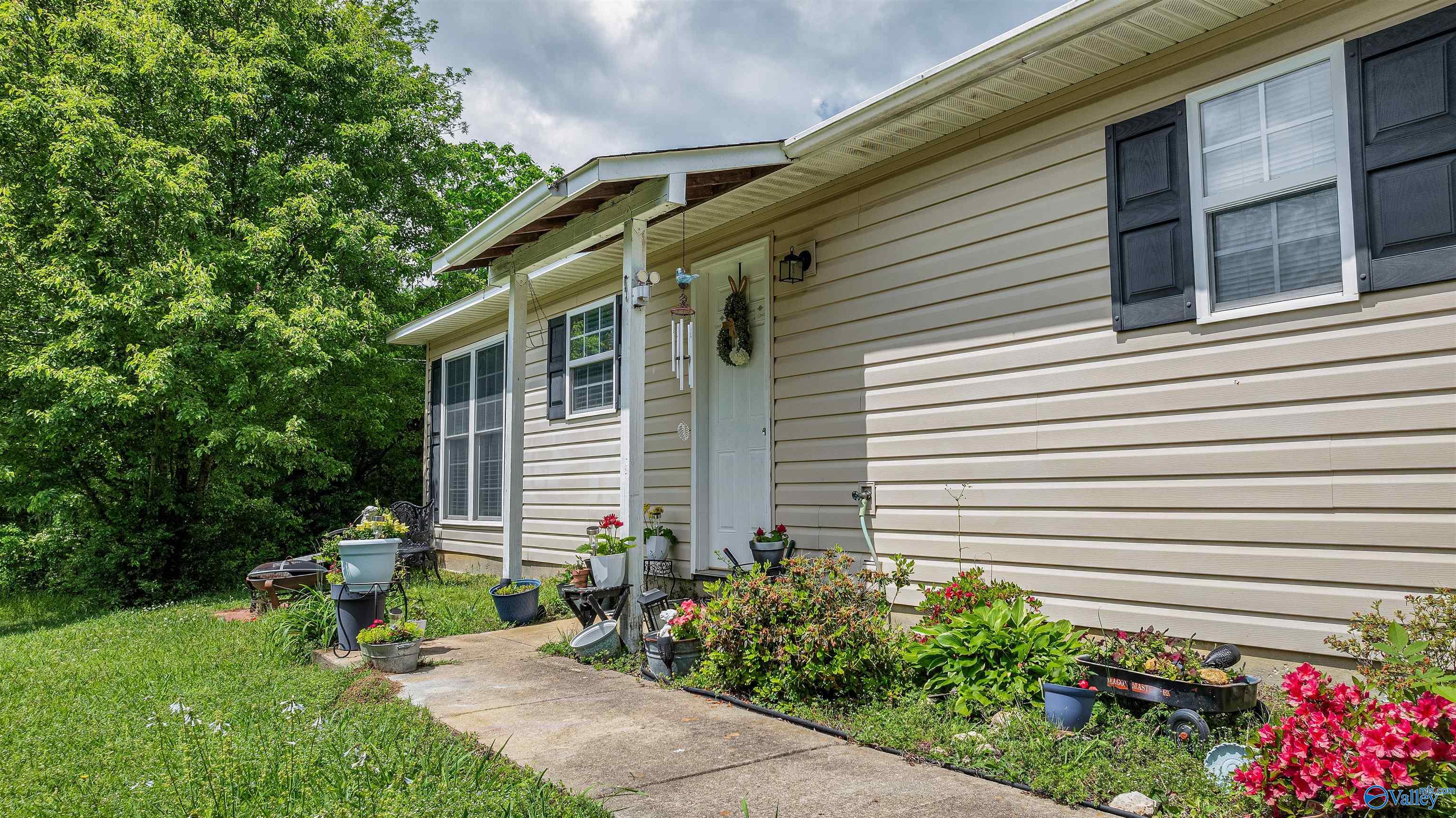 401 Lincoln Avenue, Fort Payne, Alabama image 19