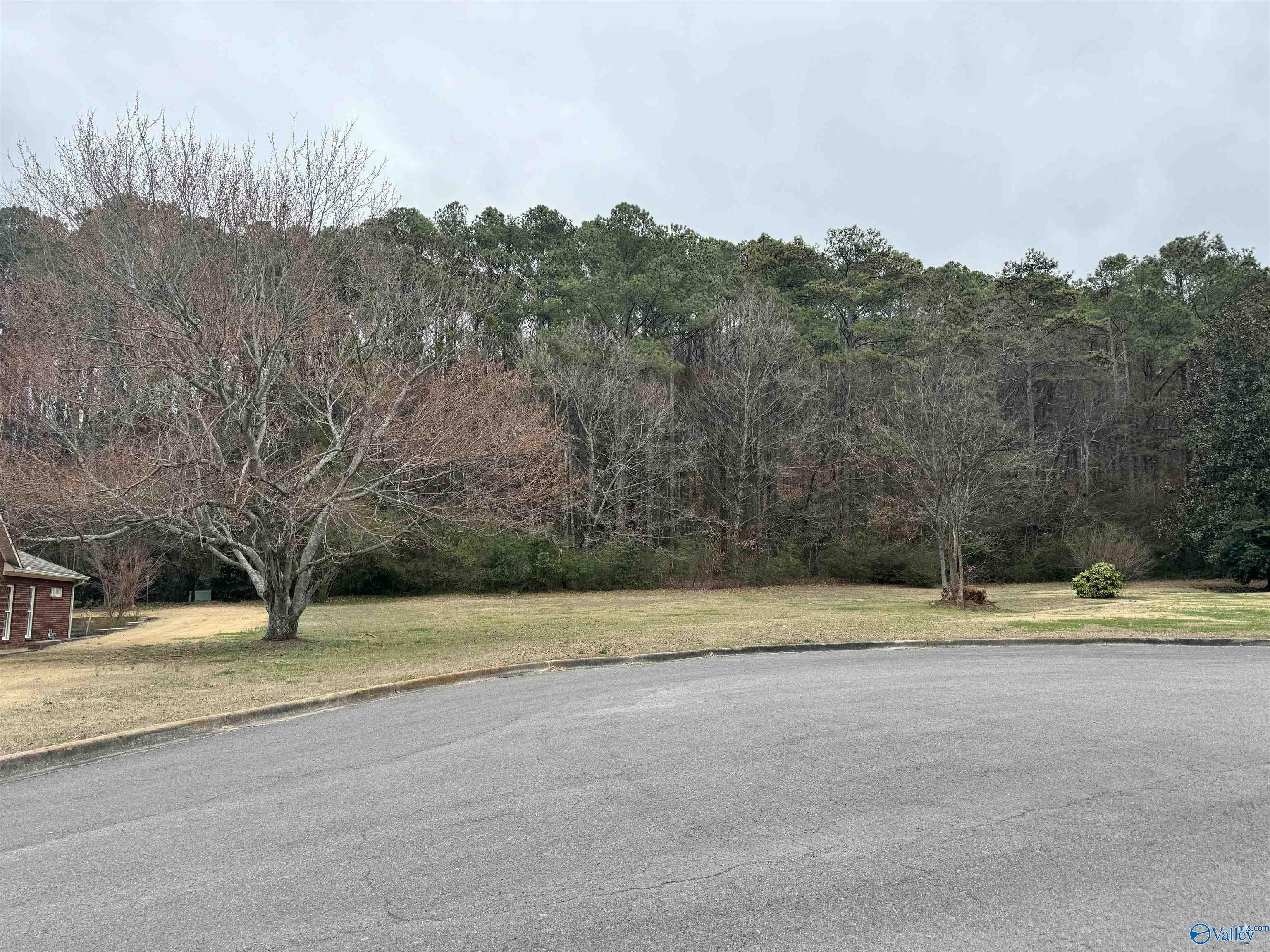 Lot 8A Brownwood Lane, Guntersville, Alabama image 1