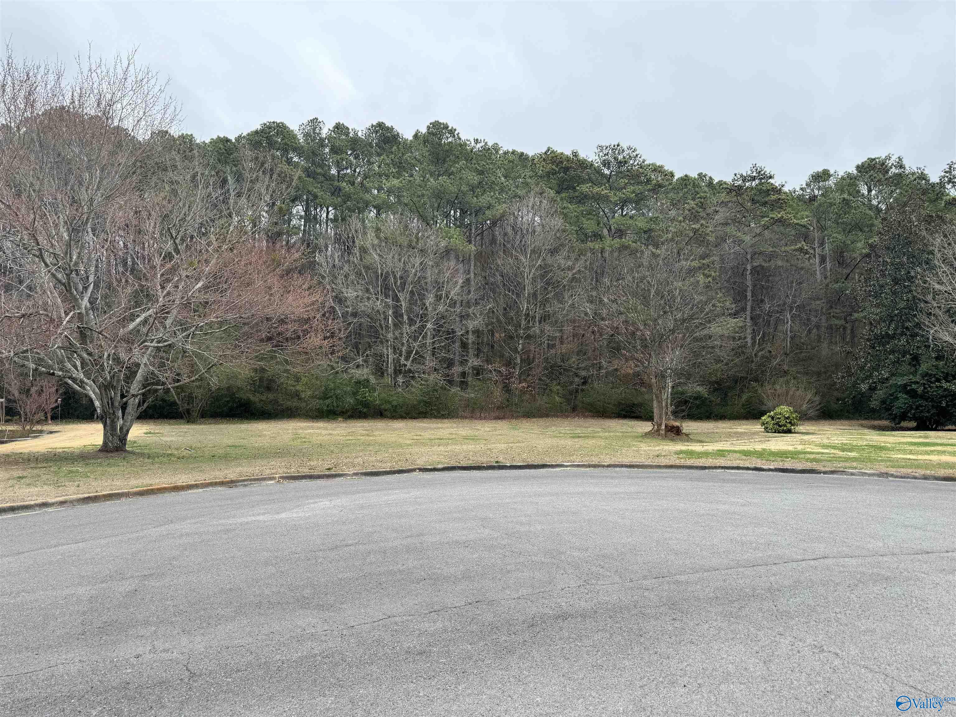 Lot 8A Brownwood Lane, Guntersville, Alabama image 2