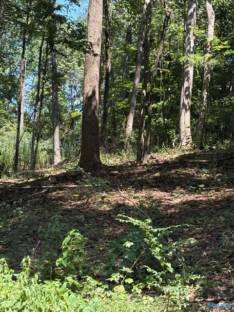 Vacant Land For Sale - LOT 155 Sgt Holden Lane<br/> Athens, AL 35614
