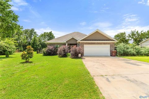 Homes For Sale - 21675 Daveen Drive<br/> Elkmont, AL 35620