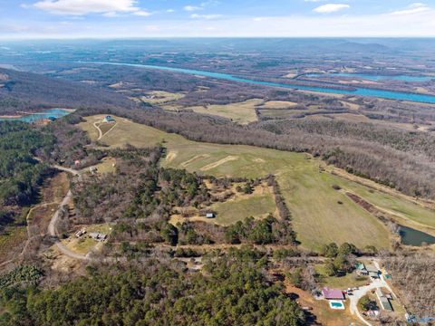 Vacant Land For Sale - TRACT 1 4610 County Road 81<br/> Jackson County, Flat Rock, AL 35966