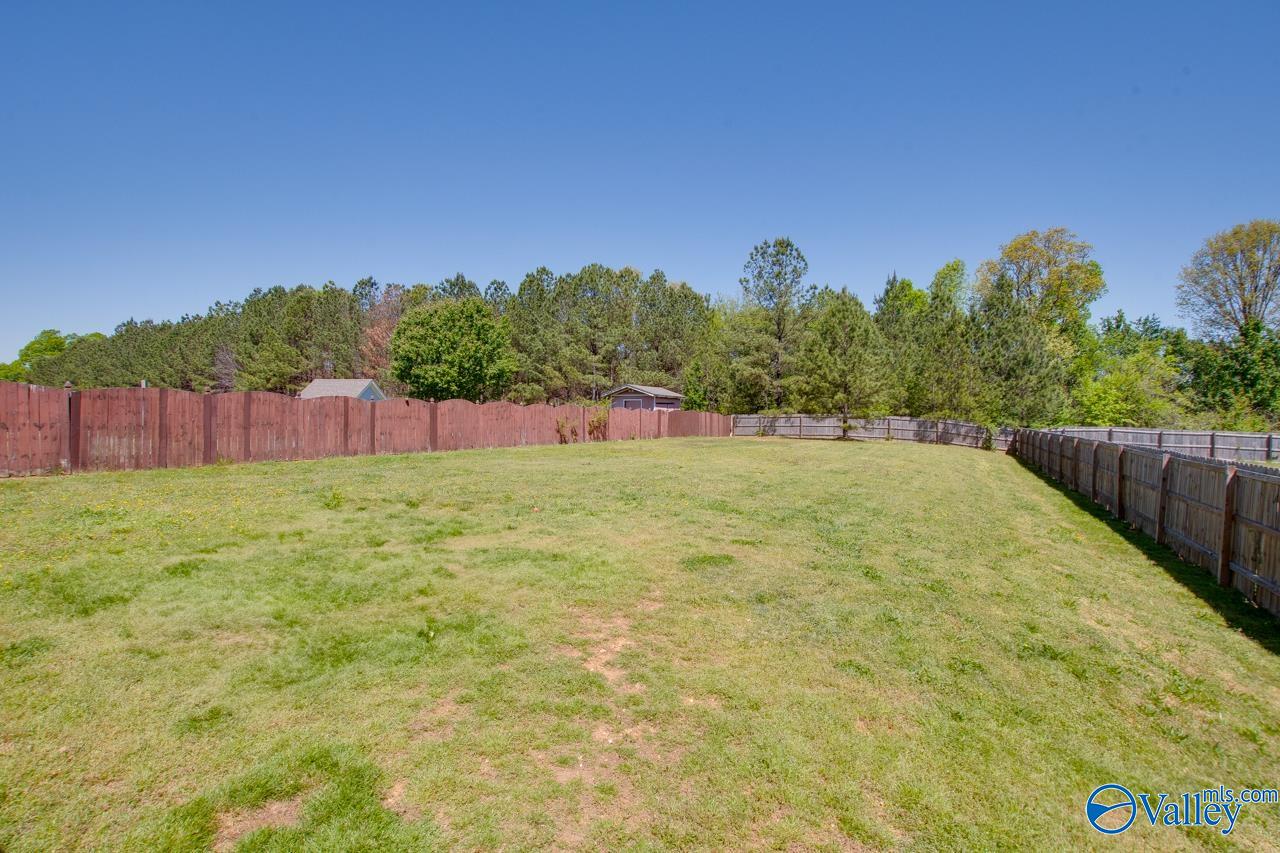 123 Vasser Farms Drive, Harvest, Alabama image 36