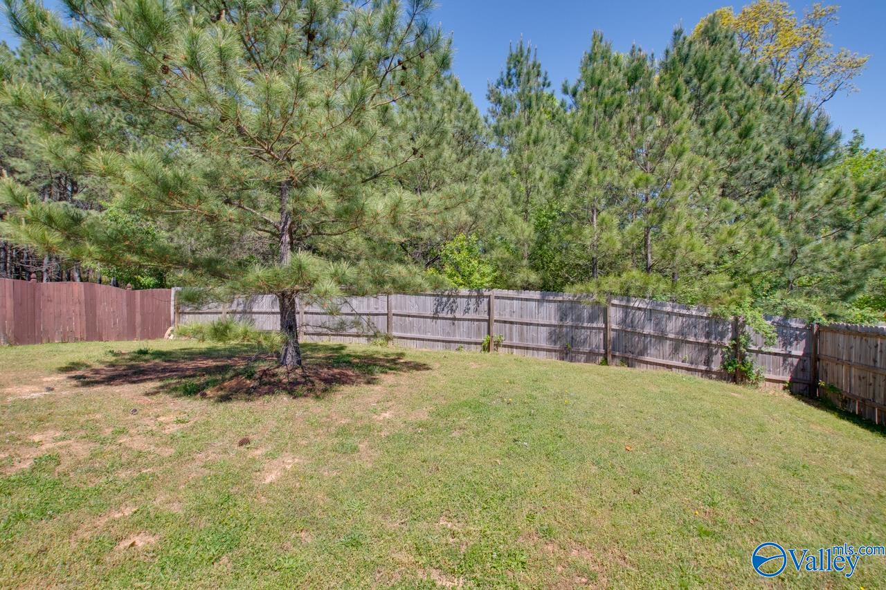 123 Vasser Farms Drive, Harvest, Alabama image 40