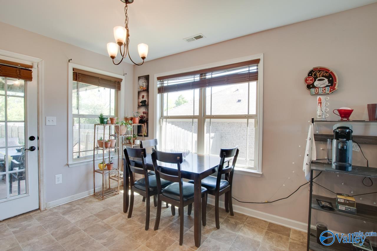 123 Vasser Farms Drive, Harvest, Alabama image 11