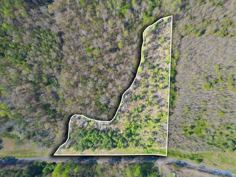 Vacant Land For Sale - 4 ACRES County Road 346<br/> Pisgah, AL 35765
