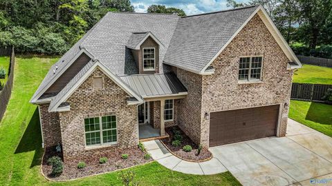 Homes For Sale - 9125 Wagon Pass Way<br/> Owens Cross Roads, AL 35763