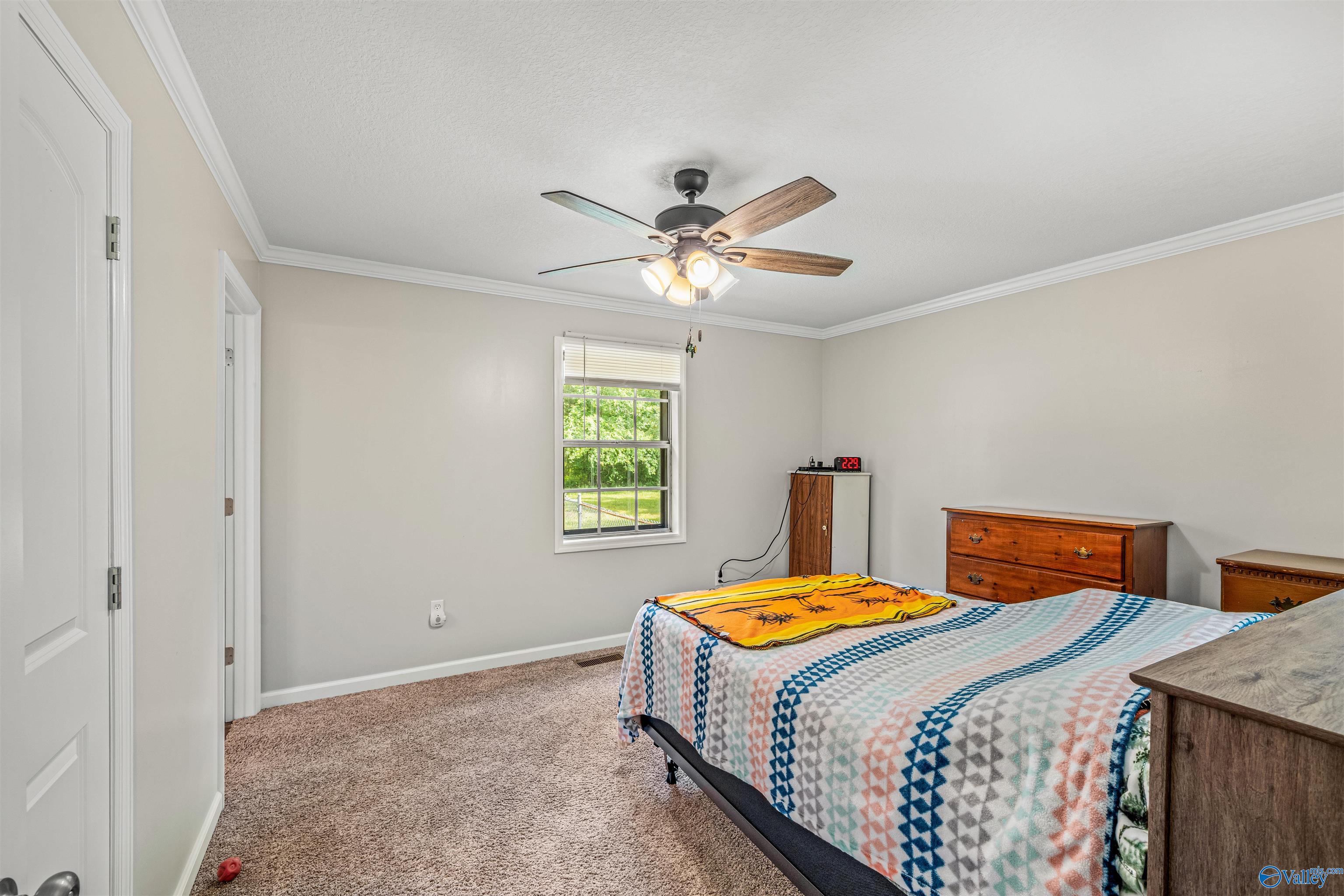 4193 County Road 51, Fort Payne, Alabama image 11