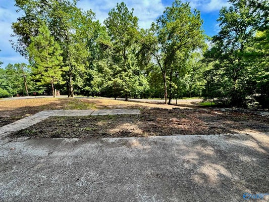 1.47 ACRES SIBERT DRIVE, GLENCOE, AL 35905 - Image 04cb0b85f4d0560d4d2c13972ccfd94a/237501359