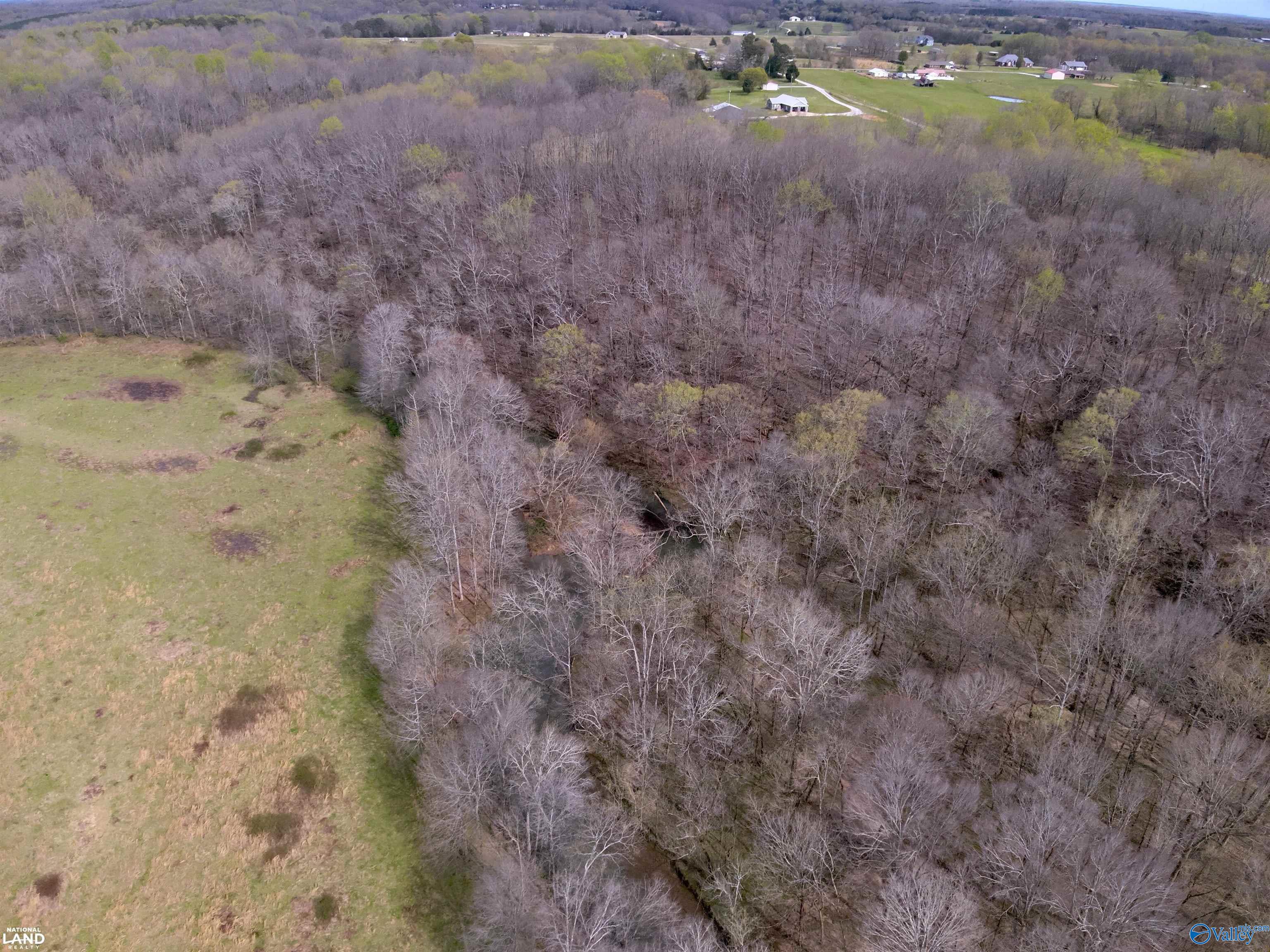 33 Ac Corum Circle, Lexington, Alabama image 7
