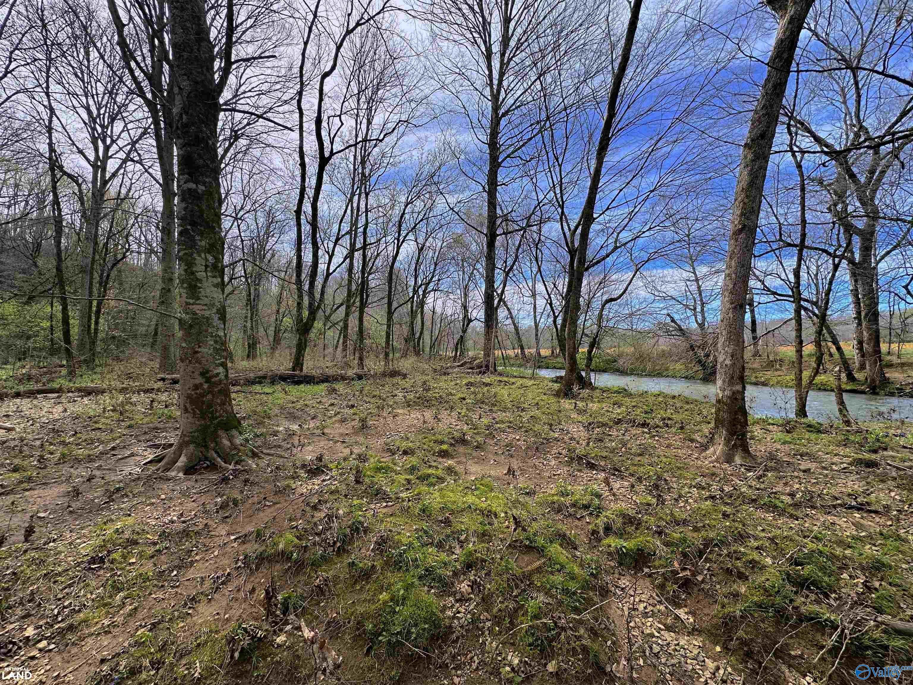 33 Ac Corum Circle, Lexington, Alabama image 1