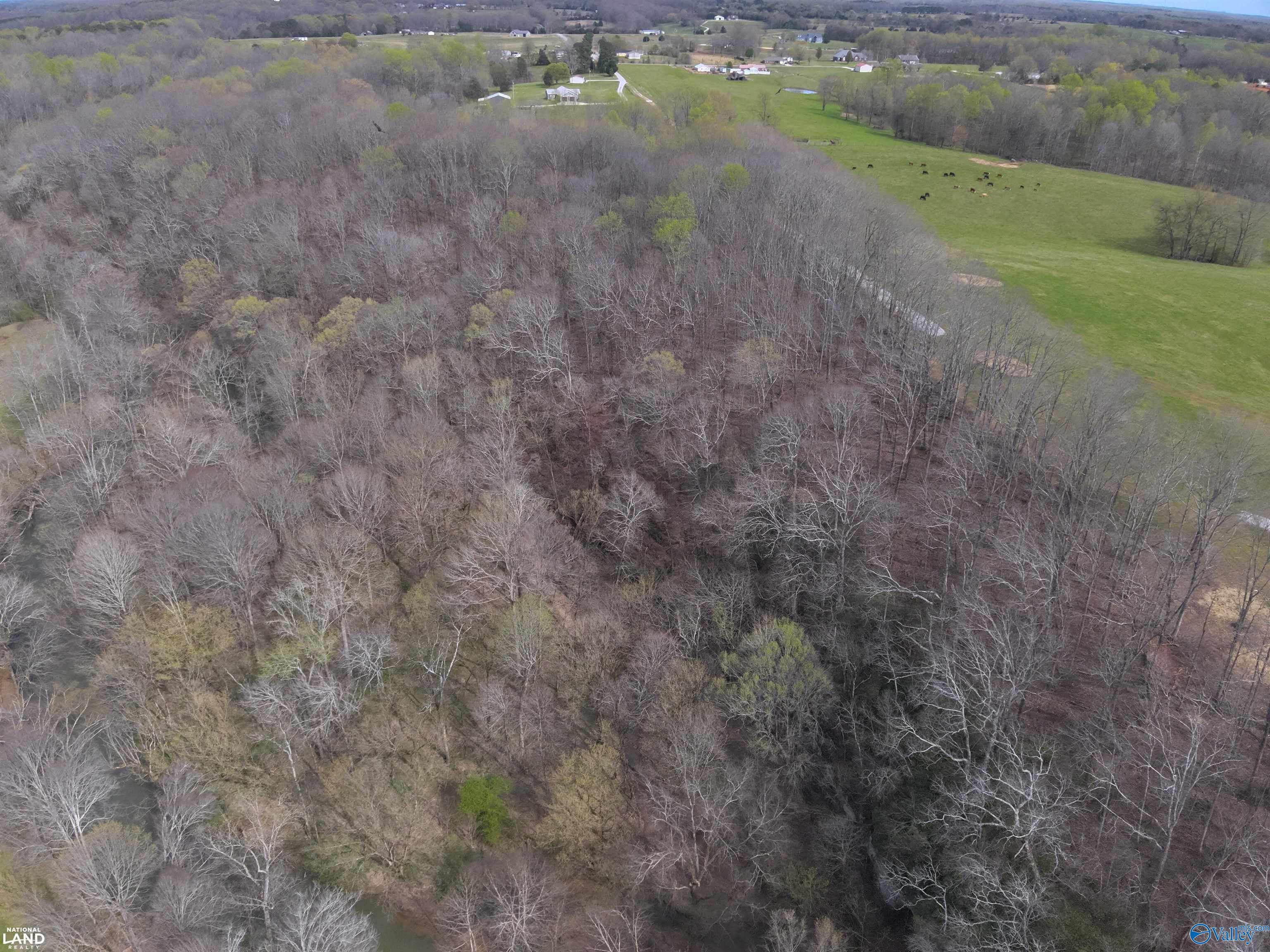 33 Ac Corum Circle, Lexington, Alabama image 2