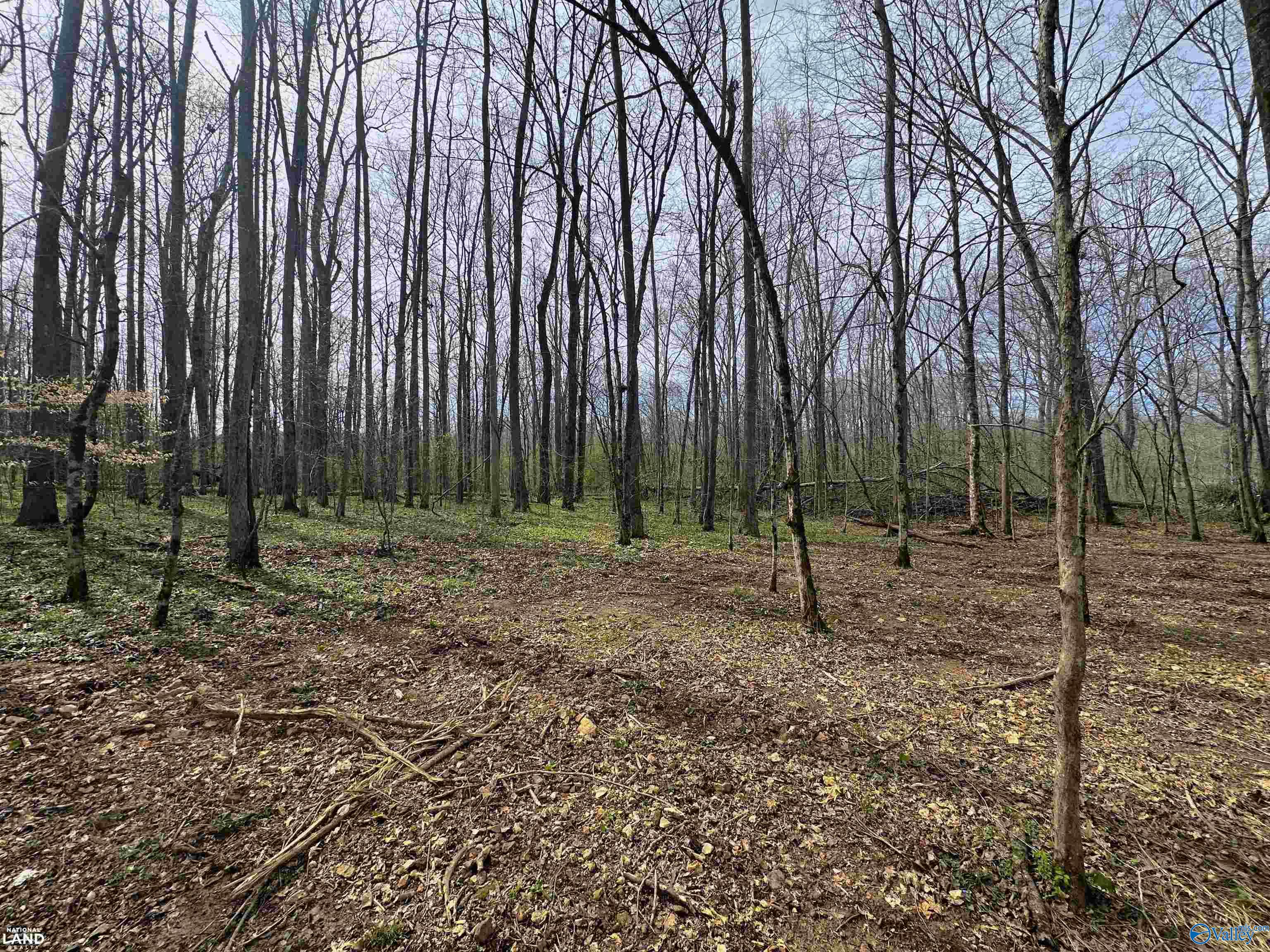 33 Ac Corum Circle, Lexington, Alabama image 5