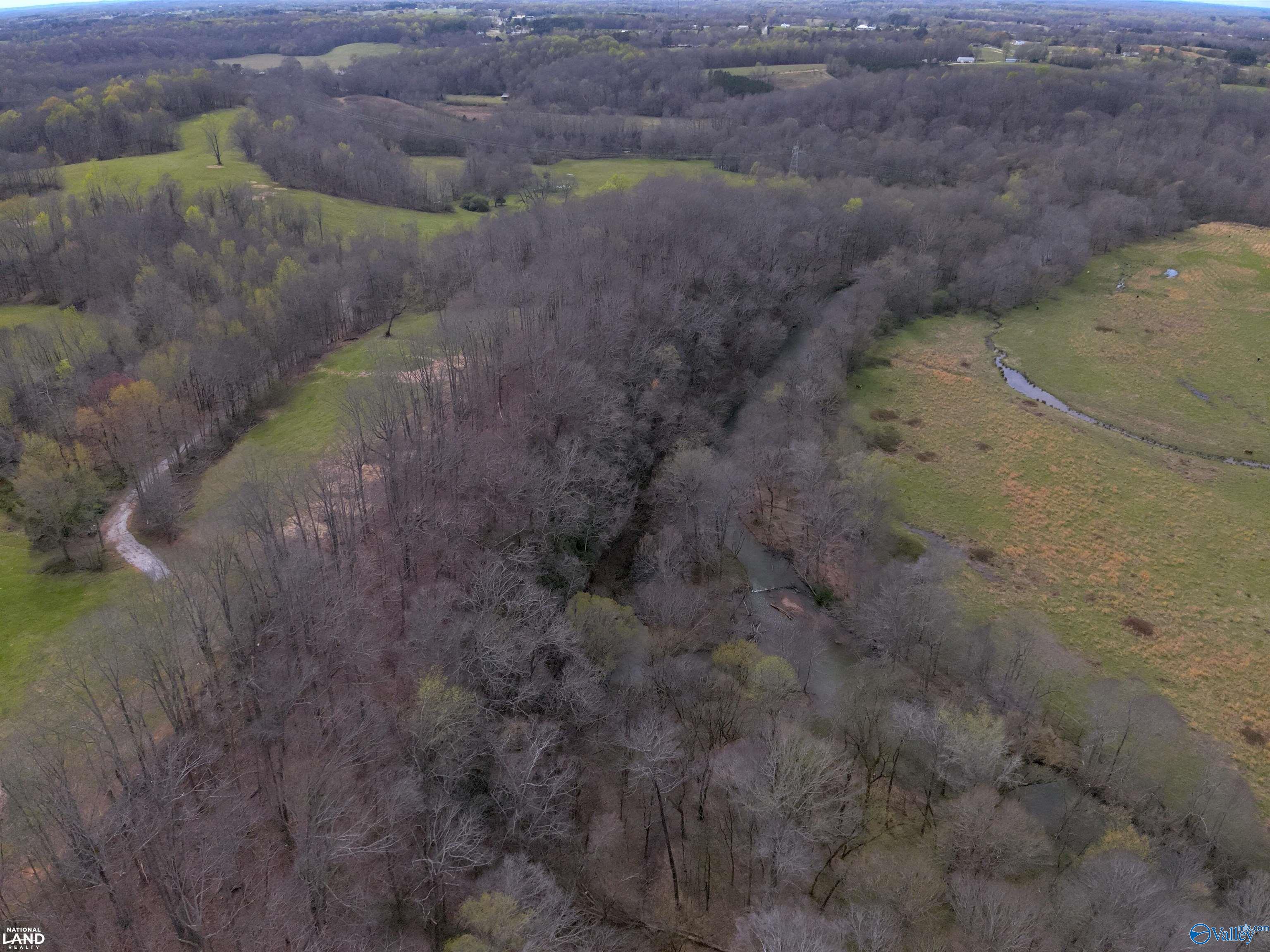 33 Ac Corum Circle, Lexington, Alabama image 6