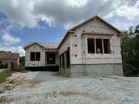 Homes For Sale - 141 Bienville Street<br/> Madison, AL 35758