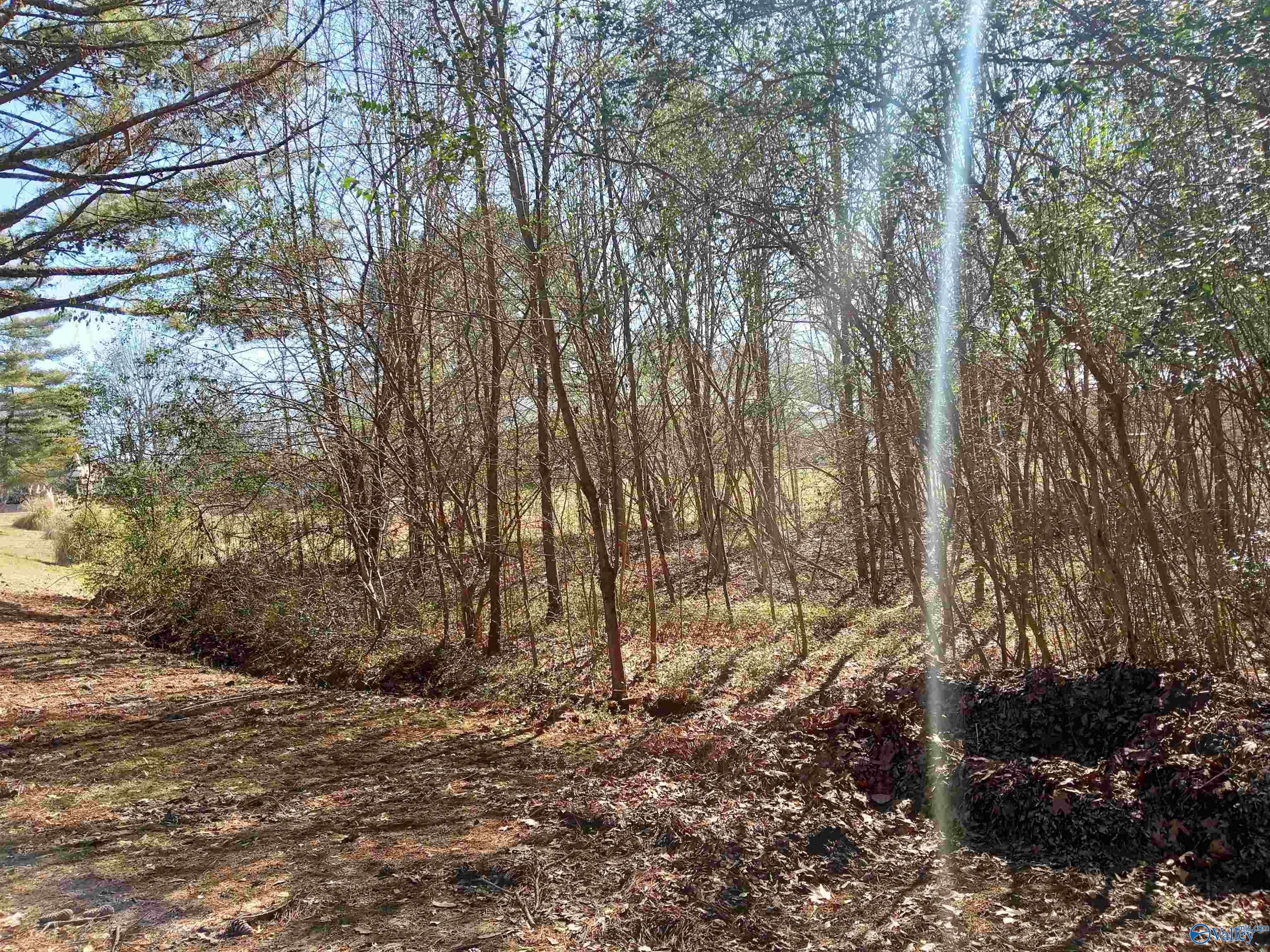 830 City Park Drive, Arab, Alabama image 8