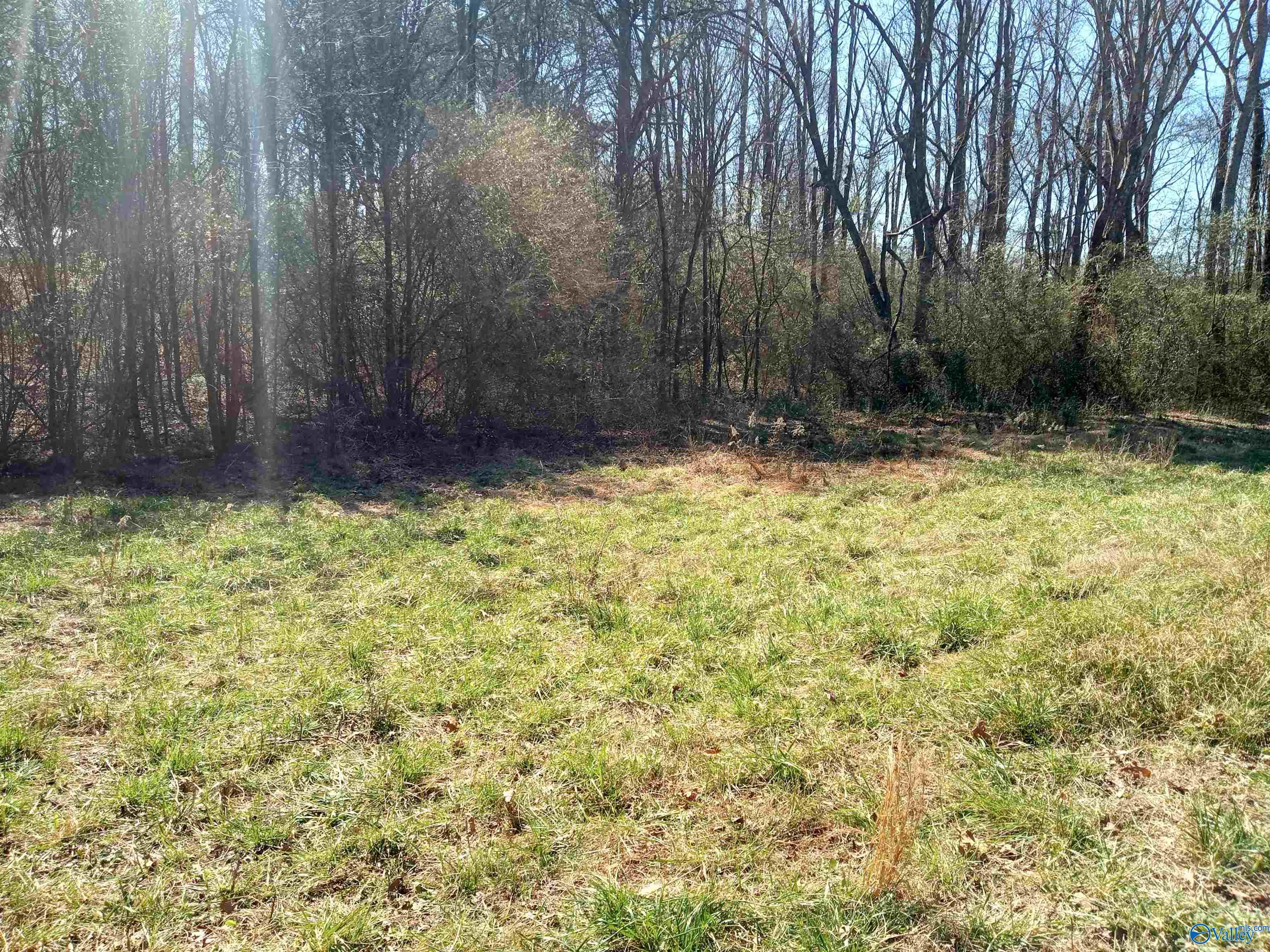 830 City Park Drive, Arab, Alabama image 3