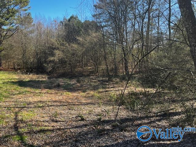 830 City Park Drive, Arab, Alabama image 6