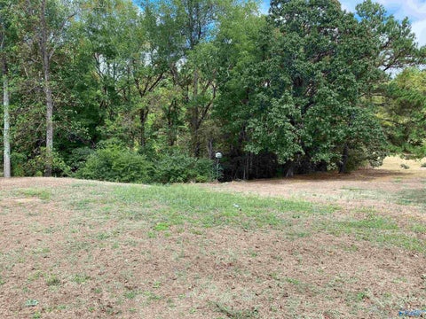 Vacant Land For Sale - 1 ACRE Highway 67<br/> Somerville, AL 35670