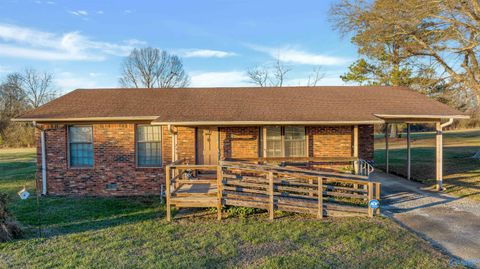 Photo of 299 Joe Hope Drive N, Geraldine, AL 35962 (MLS # 21909196)