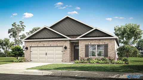 41 Cattail Court Guntersville AL 35976