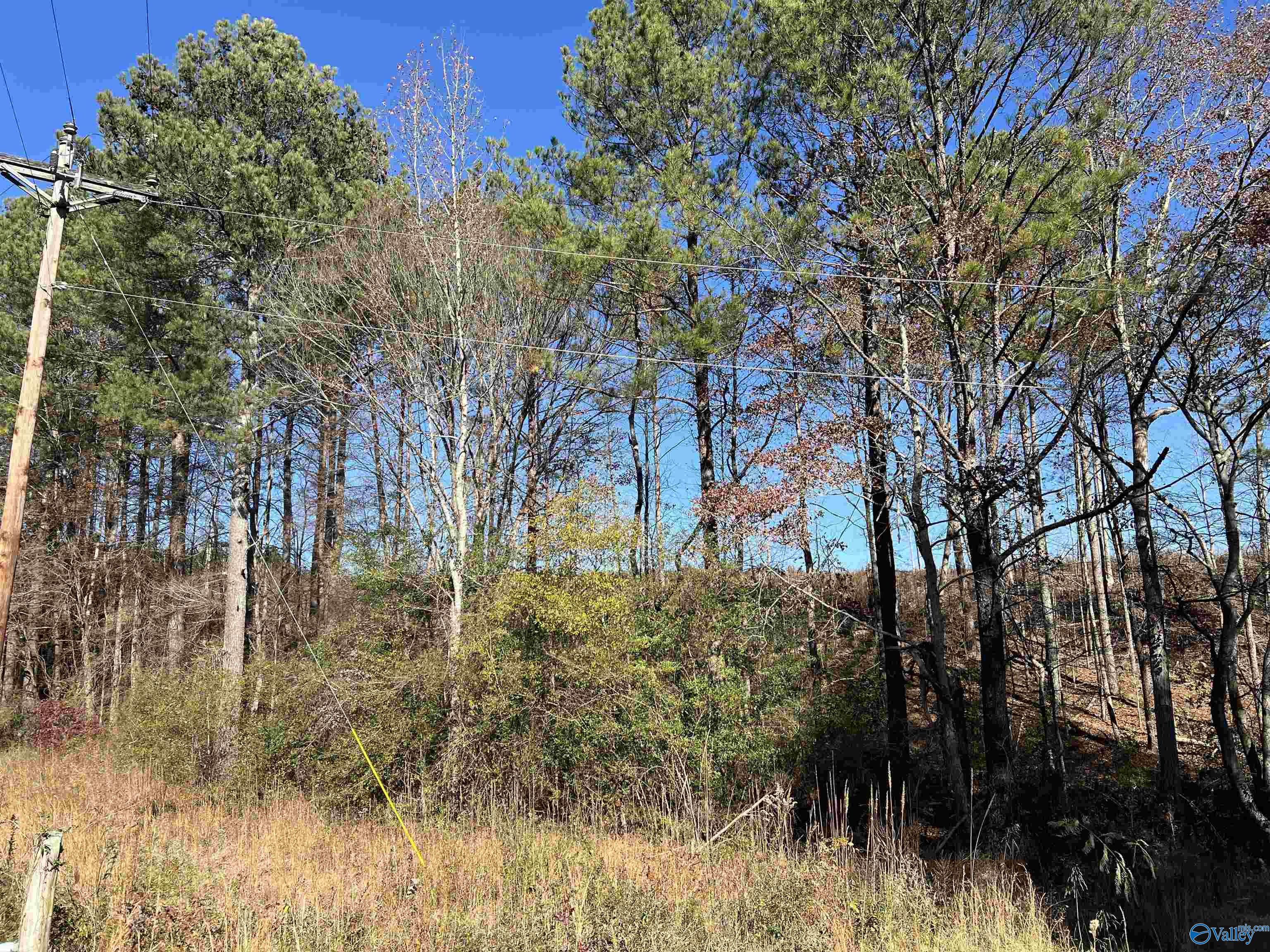 35 Acres Hwy 35, Gaylesville, Alabama image 6