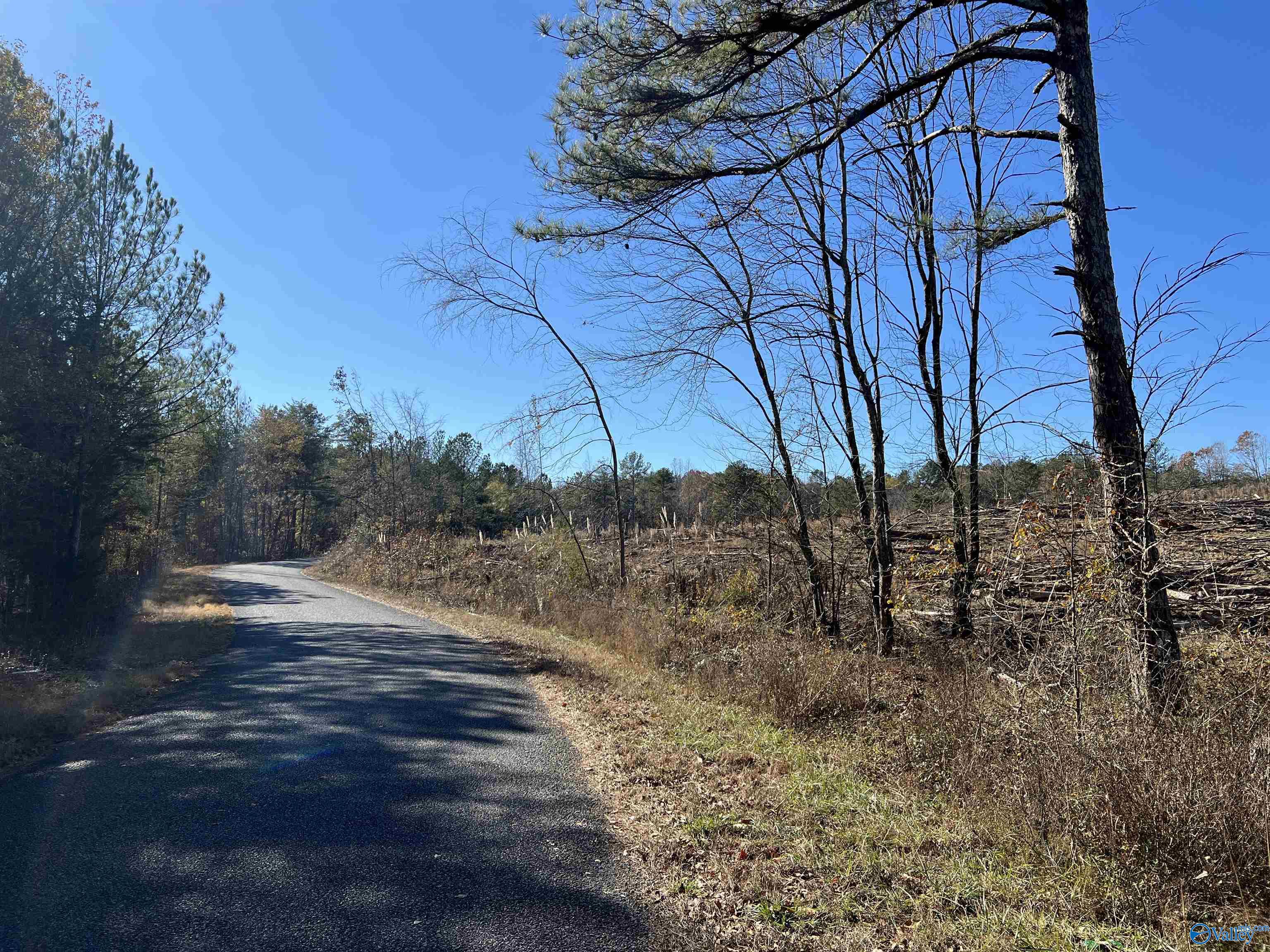 35 Acres Hwy 35, Gaylesville, Alabama image 8