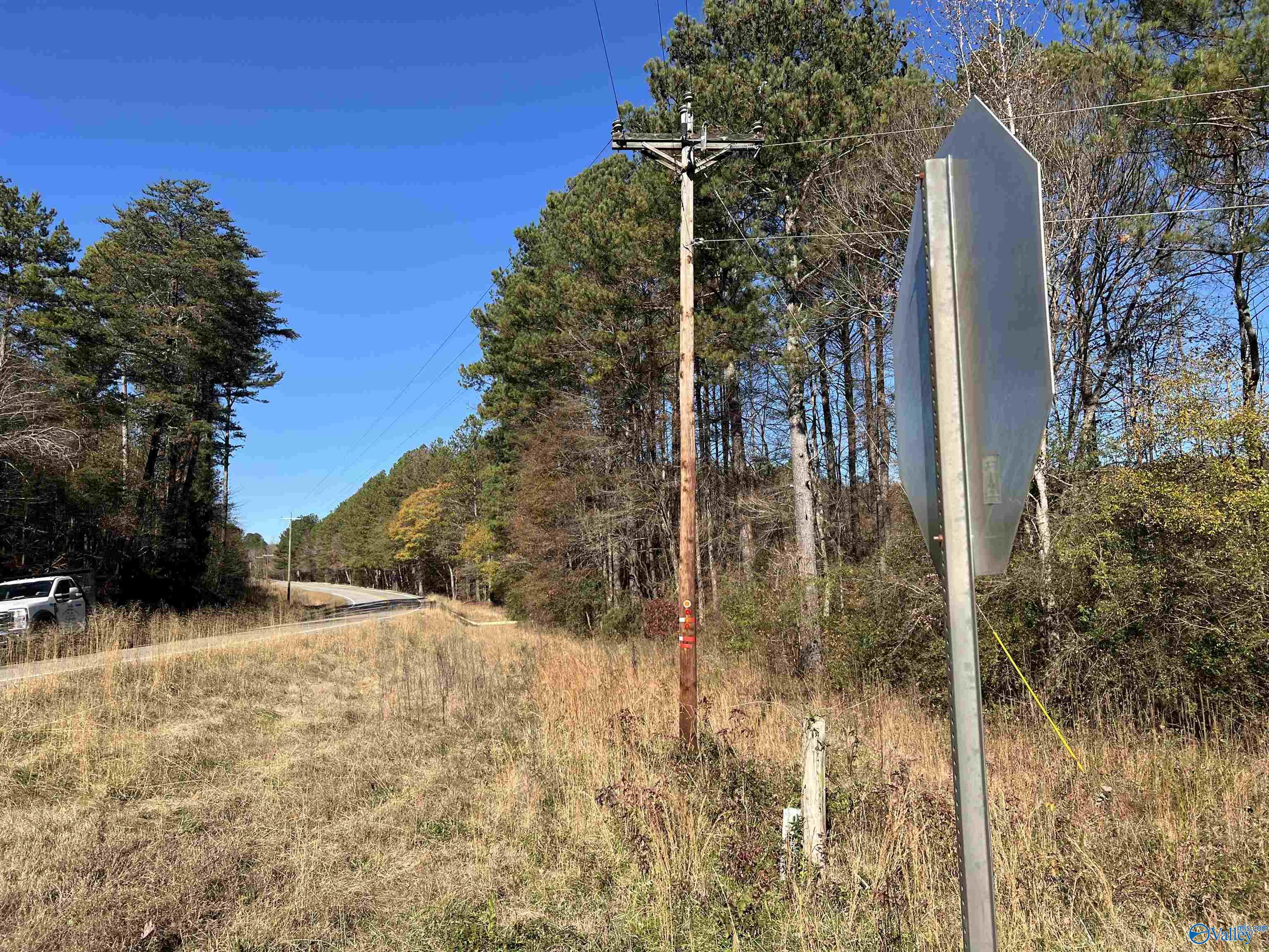 35 Acres Hwy 35, Gaylesville, Alabama image 4