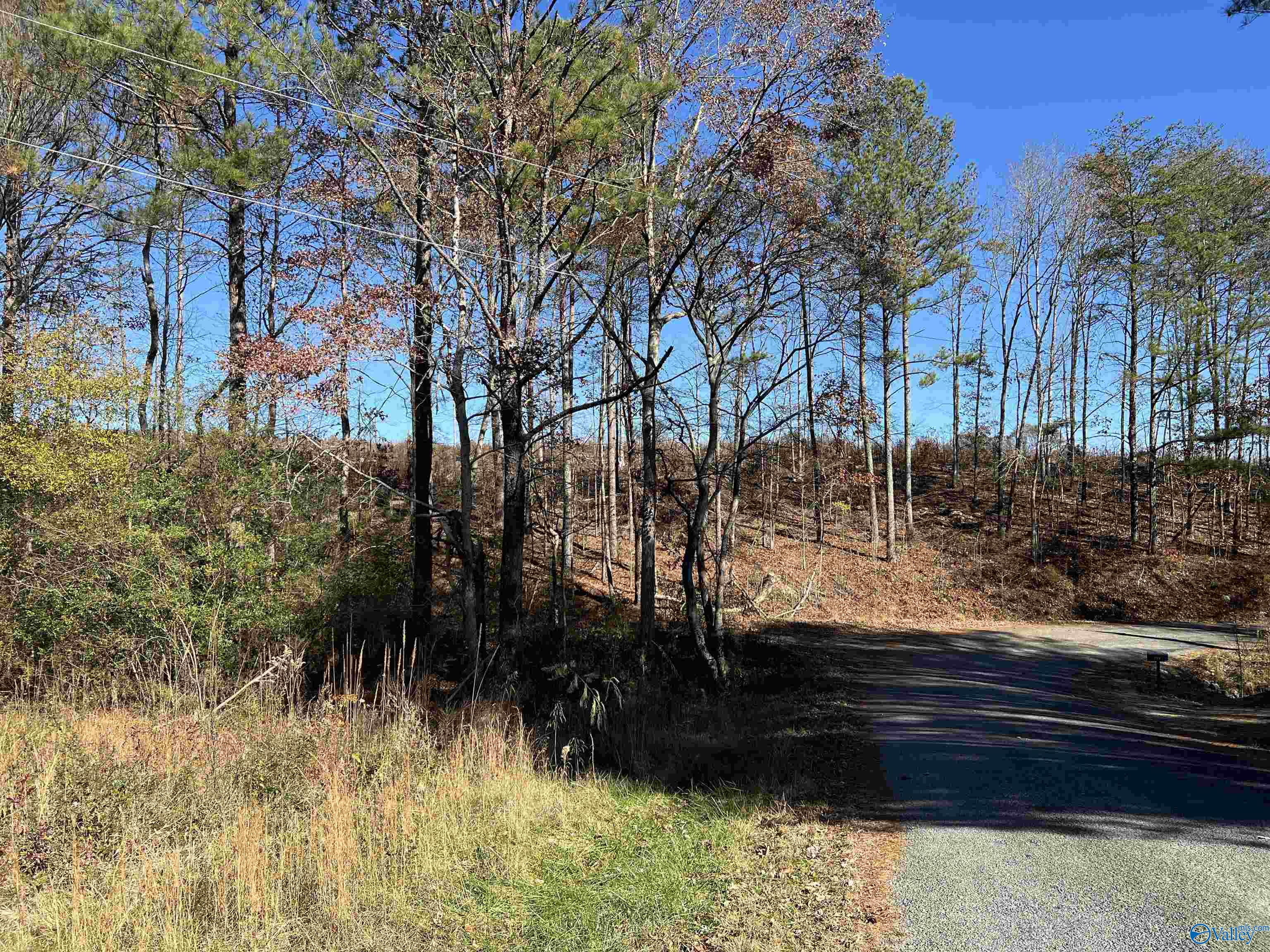 35 Acres Hwy 35, Gaylesville, Alabama image 5