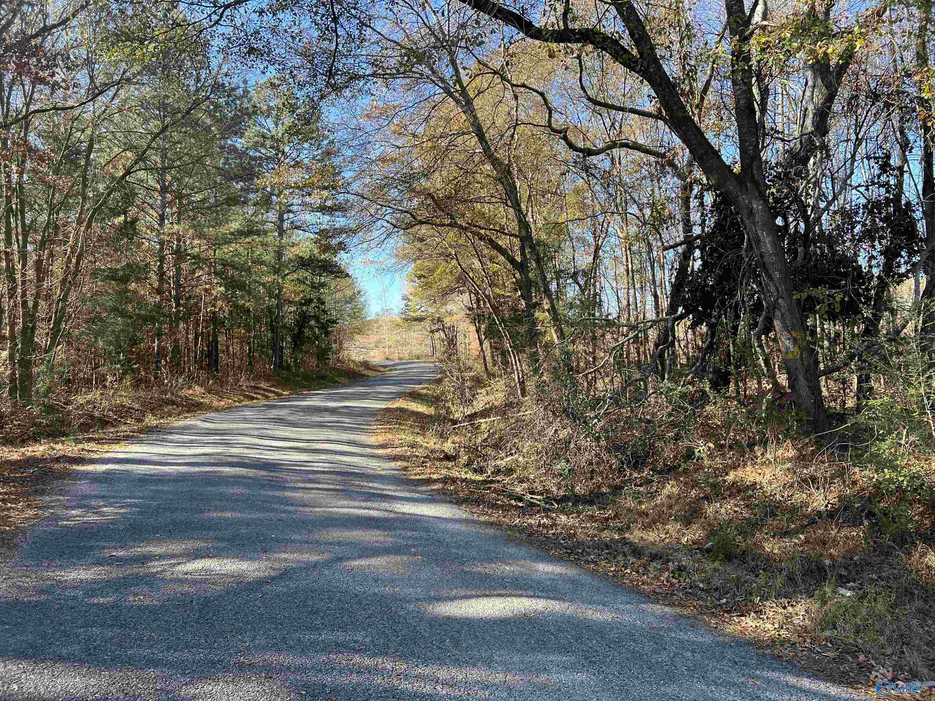 35 Acres Hwy 35, Gaylesville, Alabama image 11