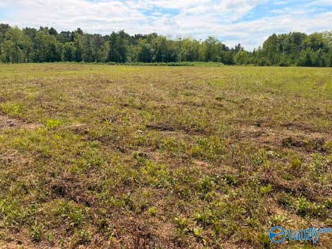 Vacant Land For Sale - LOT 15 County Road 39<br/> Cherokee County, Piedmont, AL 36272