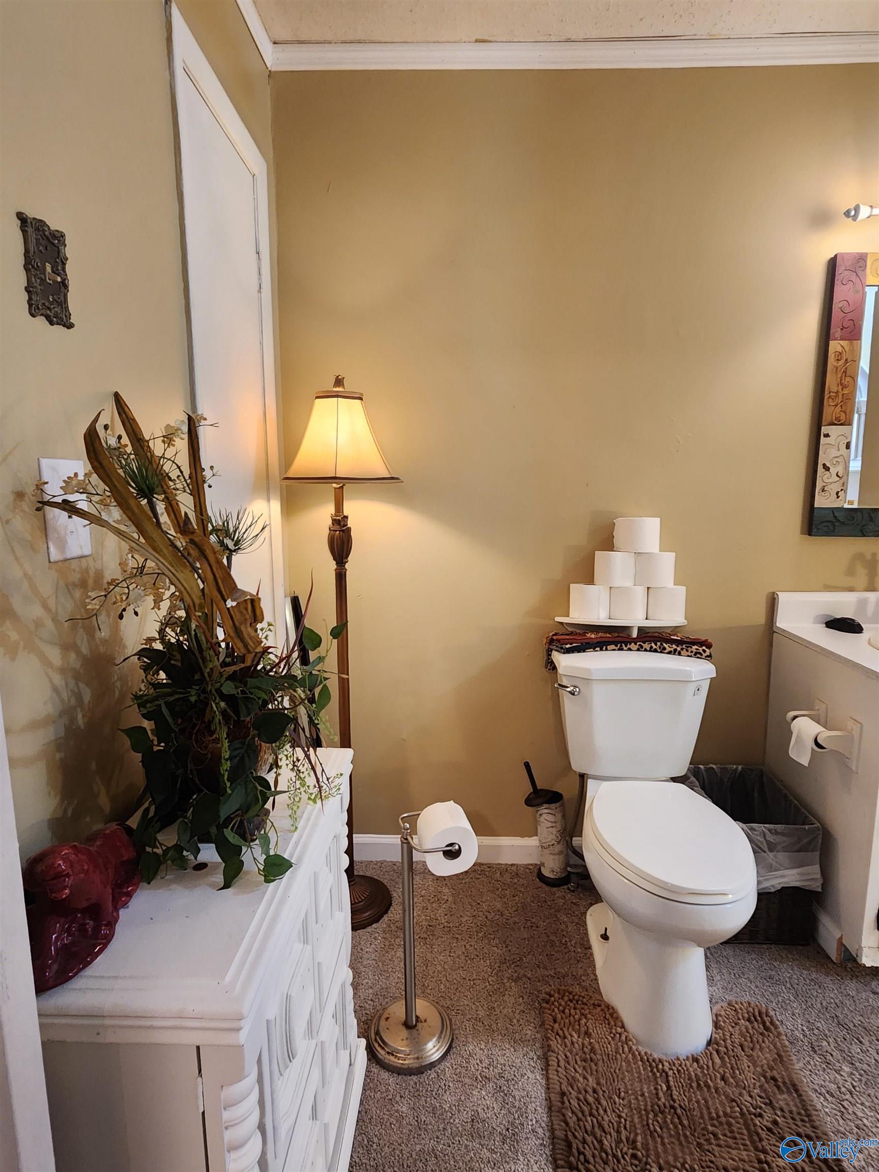 39 Mcnabb Road, Ohatchee, Alabama image 10