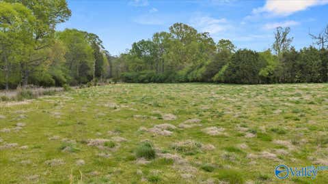 Vacant Land For Sale - LOT A River Road<br/> Hollywood, AL 35752