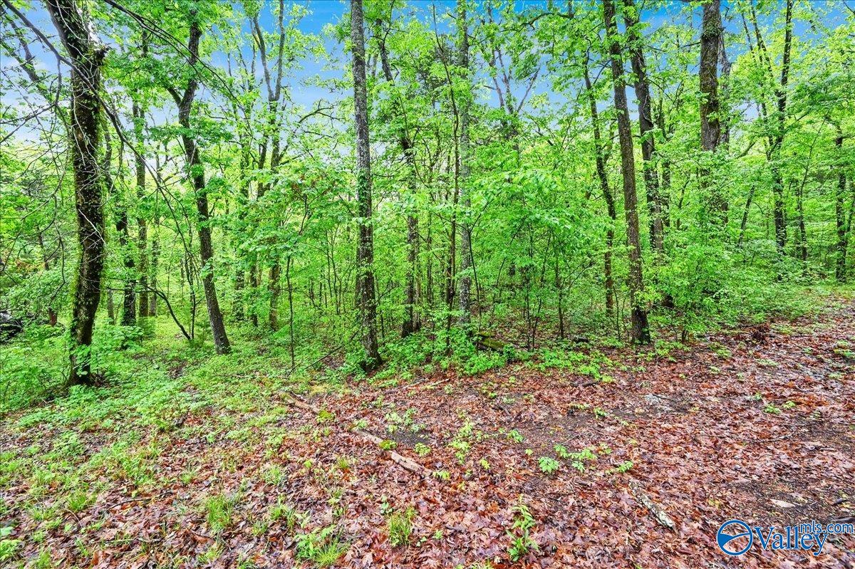 4602 W Pleasant Acres Drive, Decatur, Alabama image 31