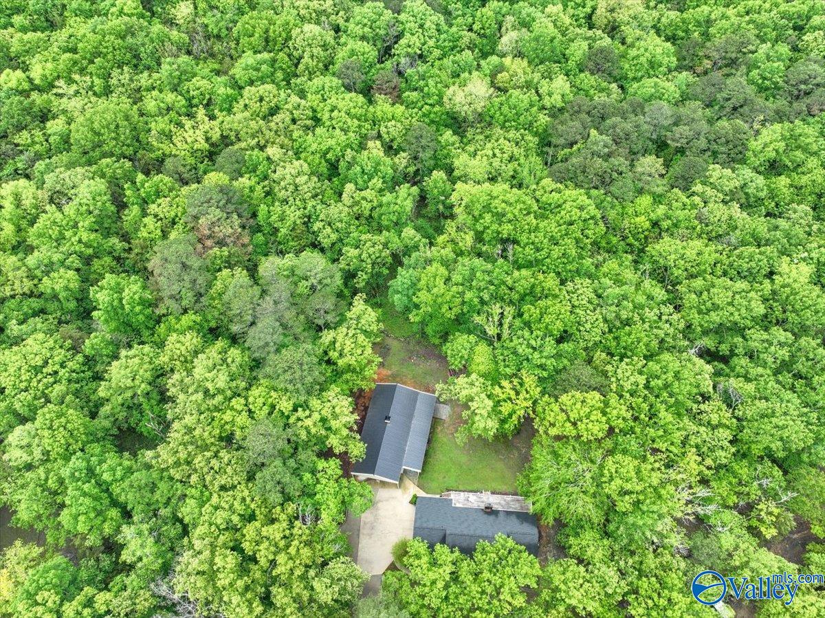 4602 W Pleasant Acres Drive, Decatur, Alabama image 35
