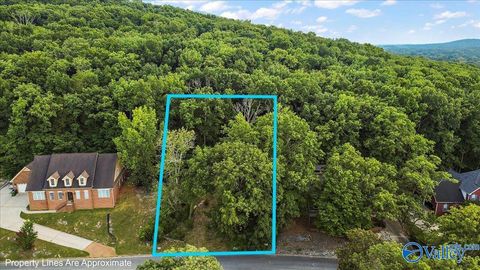 Vacant Land For Sale - 3040 Box Canyon Road<br/> Madison County, Huntsville, AL 35803
