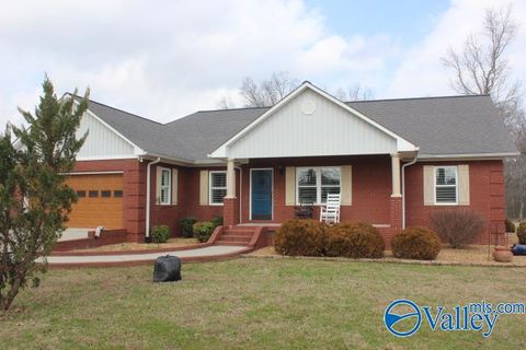 Photo of 2490 County Road 505, Fort Payne, AL 35968 (MLS # 21910440)