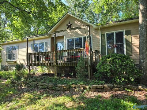 Photo of 600 Lewis Mountain Road, New Market, AL 35761 (MLS # 21911519)