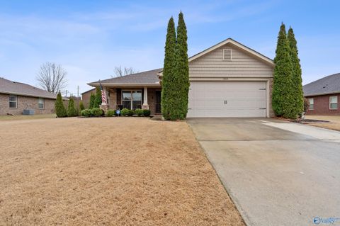 Homes For Sale - 15674 Coach House Court<br/> Harvest, AL 35749