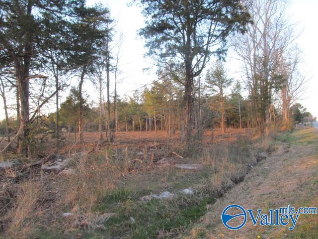 14 Martling Road, Albertville, Alabama image 5