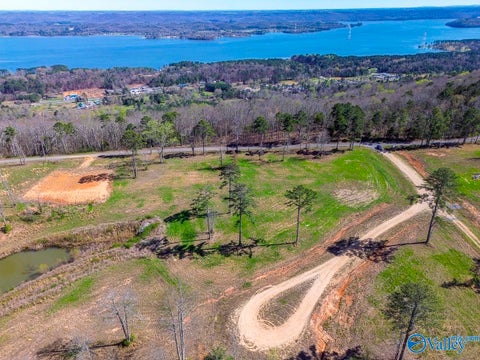 Vacant Land For Sale - LOT 1 Mccorkle Mountain Road<br/> Scottsboro, AL 35769