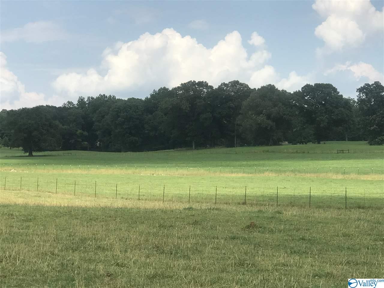 4 Hawthorn Way, Trinity, Alabama image 2