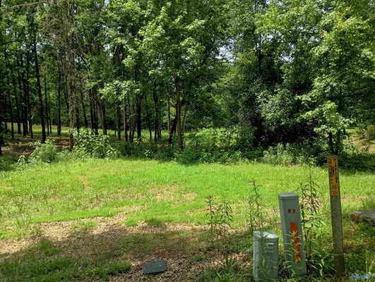 7 EAGLES FAIR, GLENCOE, AL 35905 - Image 062a2cbd8fa29db3f2598c62fa1cd9f4/3381829935
