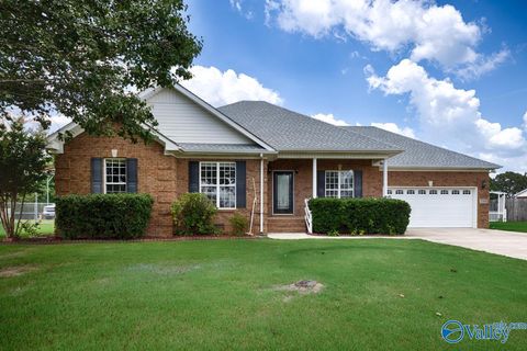 Homes For Sale - 27709 Michael Lane<br/> Toney, AL 35773