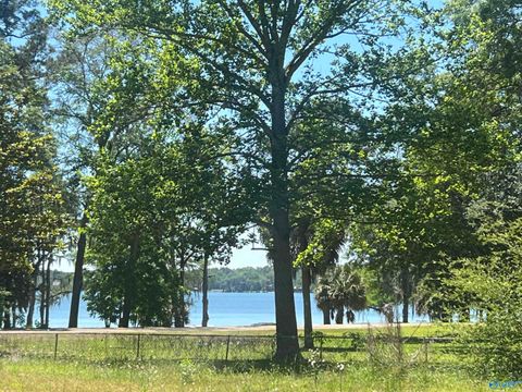 Photo of 23323 4th Avenue, Florala, AL 36442 (MLS # 21917319)