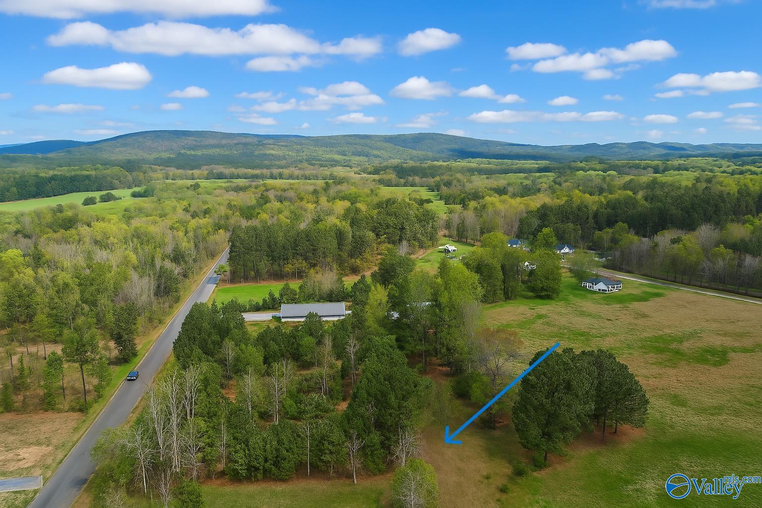 LOT 8 Hiawatha Place, Rainbow City, Alabama image 3