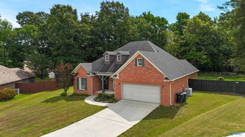 Photo of 146 Bucks Pocket Drive, New Market, AL 35761 (MLS # 21917055)