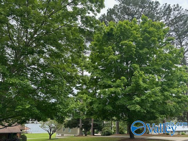 885 Honeycomb Road, Grant, Alabama image 43
