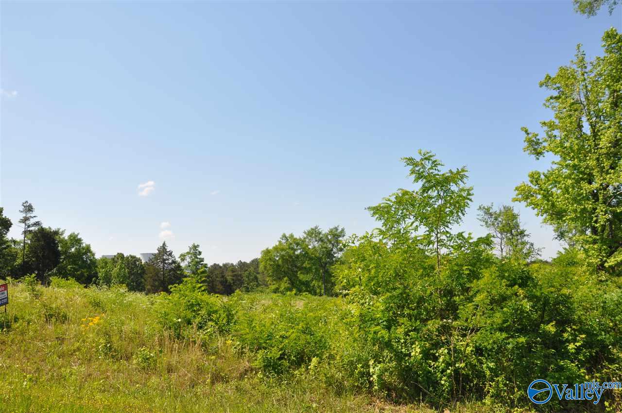 Lot 40 Ryan Road, Hollywood, Alabama image 7